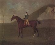 John Nost Sartorius 'Creeper' a Bay colt with Jockey up at the Starting post at the Running Gap in the Devils Ditch,Newmarket oil painting artist
